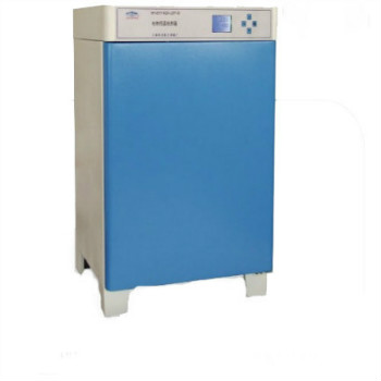 上海恒字電熱恒溫培養箱HH-B11.500-LBY-II 