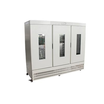 上海精其藥品穩定性試驗箱SHH-1200GSD 183×58×110